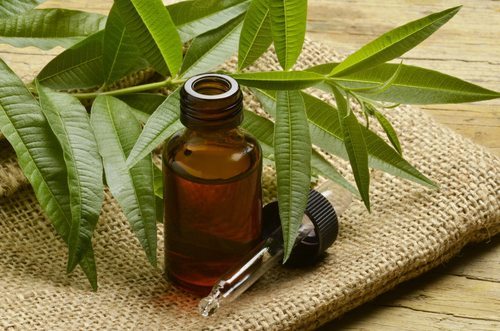 Unveiling the Magic of Tea Tree Oil: A Natural Elixir for Health and Beauty